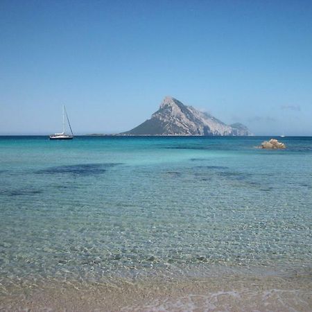 Casa Tavolara Lägenhet San Teodoro  Exteriör bild