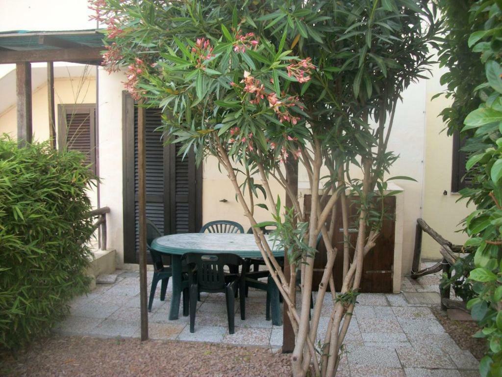 Casa Tavolara Lägenhet San Teodoro  Exteriör bild